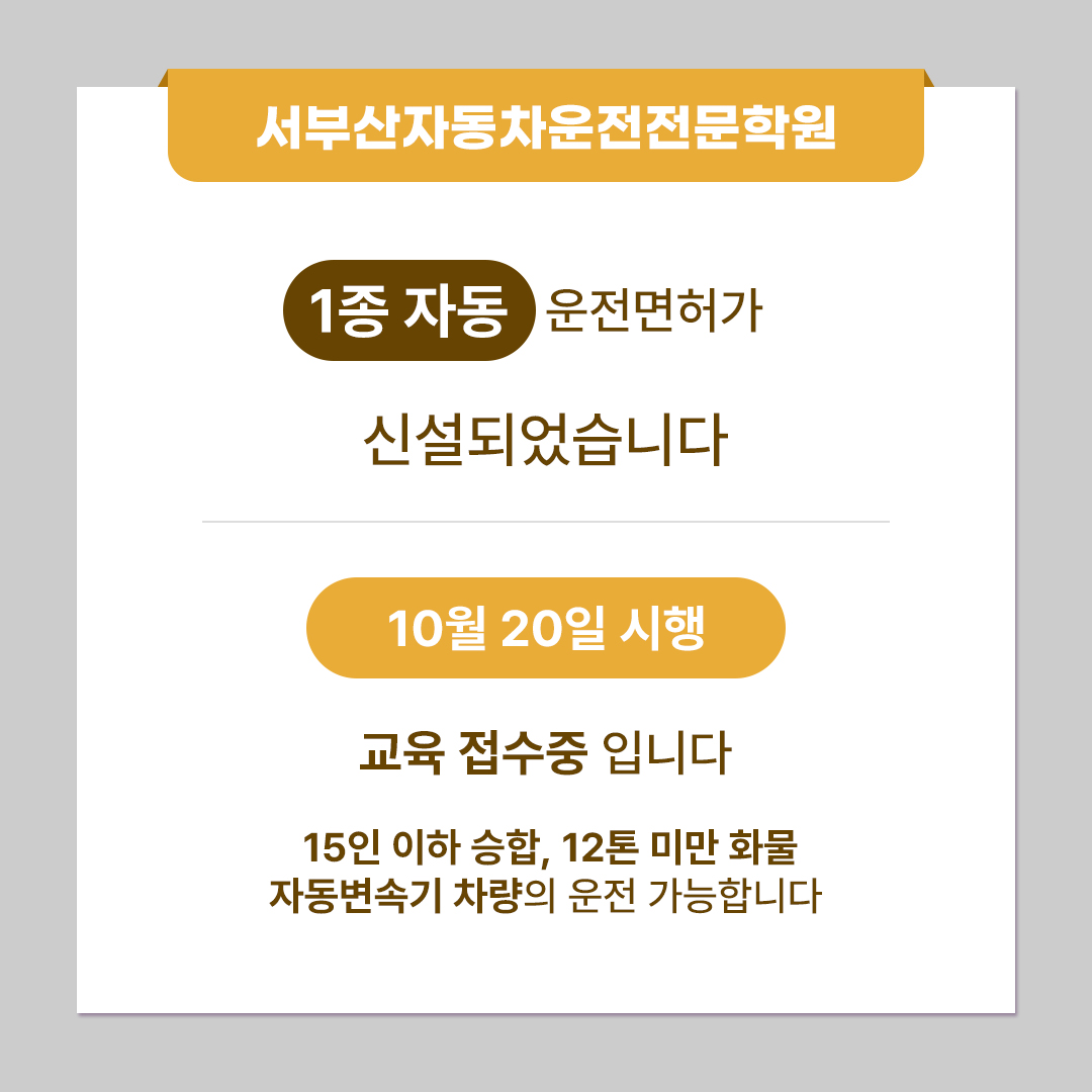 1종자동
